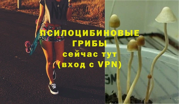 ECSTASY Волосово