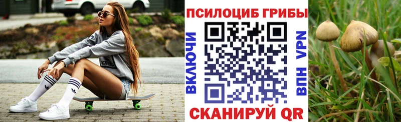 Псилоцибиновые грибы Magic Shrooms  как найти закладки  гидра зеркало  Курган 