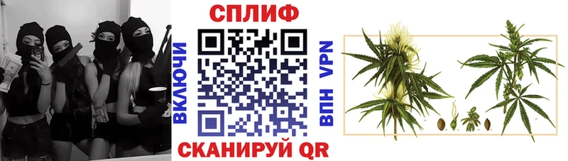 Шишки марихуана планчик  Курган 